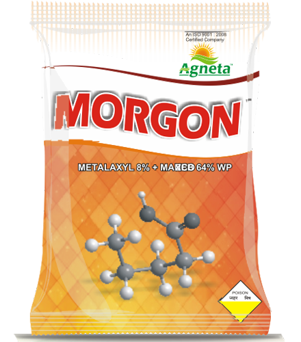 morgon - Metalaxyl 8% + Mancozeb 64% WP, Fungicide