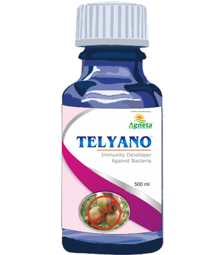 Telyano - Immunity Developer Against Bacteria